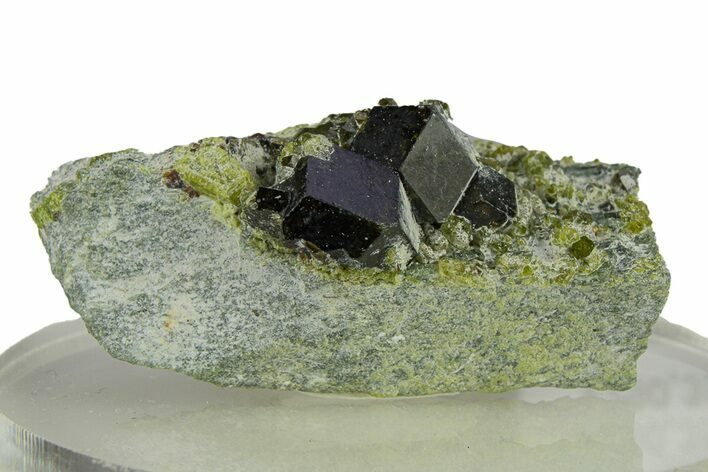 Gemmy Andradite Garnets with Diopside - Afghanistan #290359